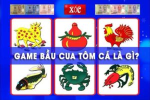 Cách chơi bầu cua luôn thắng