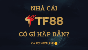 Những điểm hấp dẫn không thể bỏ qua của Nhà cái TF88